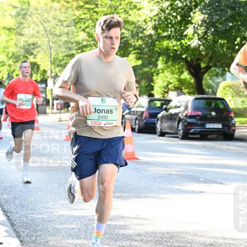 20.09.2026 - PSD Bank Halbmarathon Dr. Thomas Lammeyer http://msf.ph/oto/10492930 20.09.2026 10:34:31 Laufen 2490, 1057 meine-sportfotos.de
