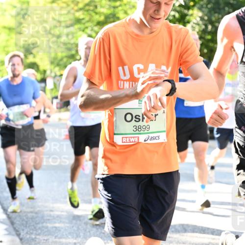 20.09.2026 - PSD Bank Halbmarathon Dr. Thomas Lammeyer http://msf.ph/oto/10493008 20.09.2026 10:34:43 Laufen 3899, 3393 meine-sportfotos.de