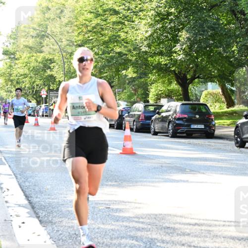20.09.2026 - PSD Bank Halbmarathon Dr. Thomas Lammeyer http://msf.ph/oto/10493031 20.09.2026 10:34:46 Laufen 4345, 4683 meine-sportfotos.de