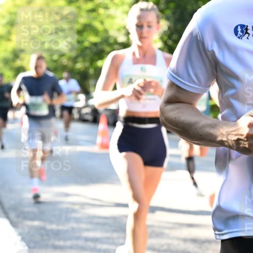 20.09.2026 - PSD Bank Halbmarathon Dr. Thomas Lammeyer http://msf.ph/oto/10493740 20.09.2026 10:36:47 Laufen 1662 meine-sportfotos.de