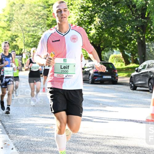 20.09.2026 - PSD Bank Halbmarathon Dr. Thomas Lammeyer http://msf.ph/oto/10493910 20.09.2026 10:37:16 Laufen 2500 meine-sportfotos.de