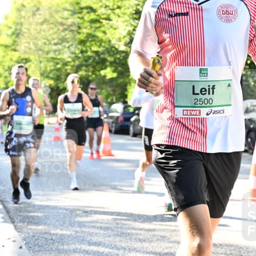 20.09.2026 - PSD Bank Halbmarathon Dr. Thomas Lammeyer http://msf.ph/oto/10493914 20.09.2026 10:37:16 Laufen 889, 2500 meine-sportfotos.de