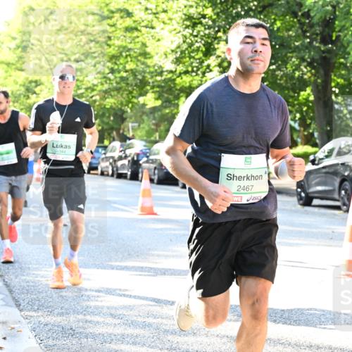 20.09.2026 - PSD Bank Halbmarathon Dr. Thomas Lammeyer http://msf.ph/oto/10494072 20.09.2026 10:37:45 Laufen 1344, 2467 meine-sportfotos.de