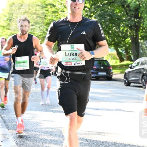 20.09.2026 - PSD Bank Halbmarathon Dr. Thomas Lammeyer http://msf.ph/oto/10494077 20.09.2026 10:37:46 Laufen 4723, 4344 meine-sportfotos.de