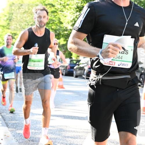 20.09.2026 - PSD Bank Halbmarathon Dr. Thomas Lammeyer http://msf.ph/oto/10494078 20.09.2026 10:37:46 Laufen 4723, 344 meine-sportfotos.de
