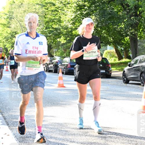 20.09.2026 - PSD Bank Halbmarathon Dr. Thomas Lammeyer http://msf.ph/oto/10494473 20.09.2026 10:39:06 Laufen 2525, 3529, 4683 meine-sportfotos.de
