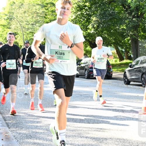 20.09.2026 - PSD Bank Halbmarathon Dr. Thomas Lammeyer http://msf.ph/oto/10494901 20.09.2026 10:40:29 Laufen 4607, 4608, 1803, 4555 meine-sportfotos.de