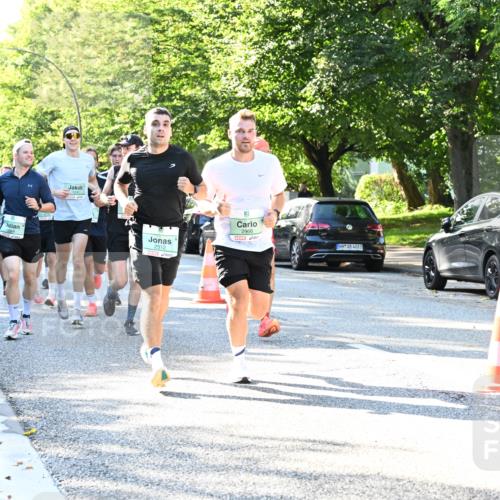 20.09.2026 - PSD Bank Halbmarathon Dr. Thomas Lammeyer http://msf.ph/oto/10495351 20.09.2026 10:41:47 Laufen 1048, 1241, 2512, 2966, 4683 meine-sportfotos.de