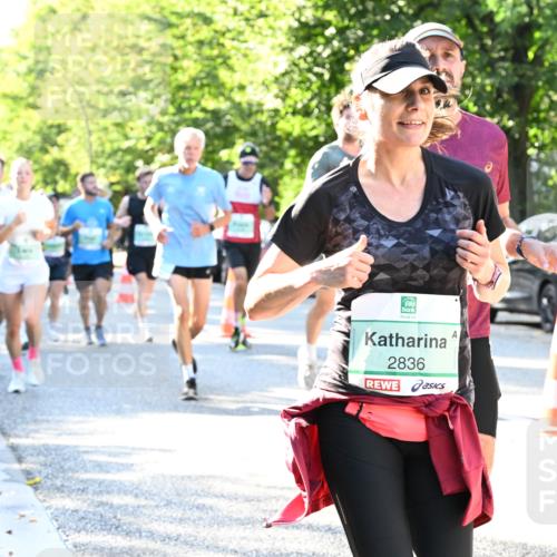 20.09.2026 - PSD Bank Halbmarathon Dr. Thomas Lammeyer http://msf.ph/oto/10495416 20.09.2026 10:41:57 Laufen 2836 meine-sportfotos.de
