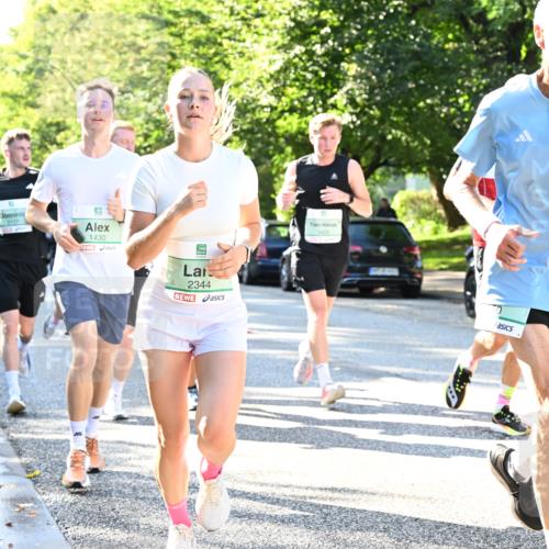 20.09.2026 - PSD Bank Halbmarathon Dr. Thomas Lammeyer http://msf.ph/oto/10495430 20.09.2026 10:41:59 Laufen 2177, 1430, 2344 meine-sportfotos.de