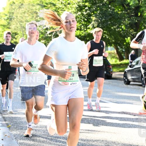 20.09.2026 - PSD Bank Halbmarathon Dr. Thomas Lammeyer http://msf.ph/oto/10495432 20.09.2026 10:41:59 Laufen 2177, 1430, 2344, 3790, 4150 meine-sportfotos.de