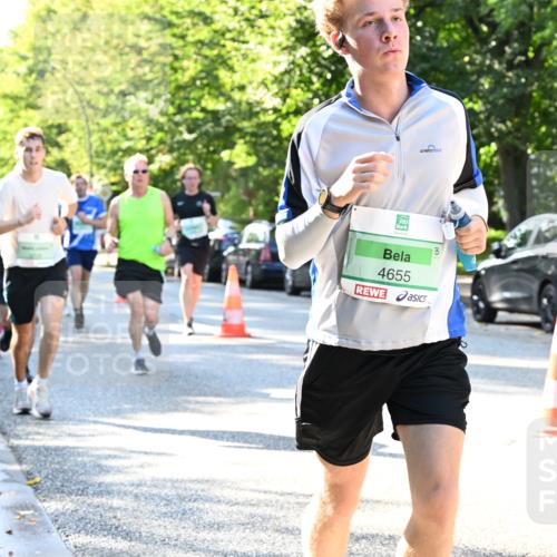 20.09.2026 - PSD Bank Halbmarathon Dr. Thomas Lammeyer http://msf.ph/oto/10495502 20.09.2026 10:42:12 Laufen 4655 meine-sportfotos.de