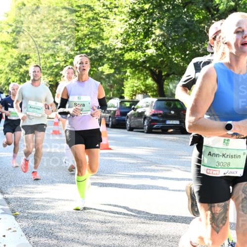 20.09.2026 - PSD Bank Halbmarathon Dr. Thomas Lammeyer http://msf.ph/oto/10495718 20.09.2026 10:42:46 Laufen 2674, 9, 3028 meine-sportfotos.de