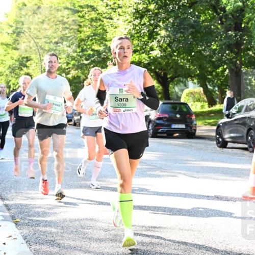 20.09.2026 - PSD Bank Halbmarathon Dr. Thomas Lammeyer http://msf.ph/oto/10495721 20.09.2026 10:42:46 Laufen 4100, 674, 1309 meine-sportfotos.de