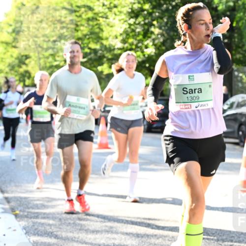 20.09.2026 - PSD Bank Halbmarathon Dr. Thomas Lammeyer http://msf.ph/oto/10495725 20.09.2026 10:42:47 Laufen 1309 meine-sportfotos.de