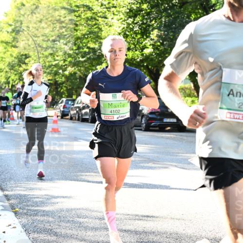 20.09.2026 - PSD Bank Halbmarathon Dr. Thomas Lammeyer http://msf.ph/oto/10495734 20.09.2026 10:42:48 Laufen 4102, 2674 meine-sportfotos.de