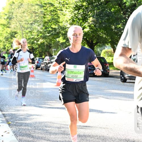 20.09.2026 - PSD Bank Halbmarathon Dr. Thomas Lammeyer http://msf.ph/oto/10495735 20.09.2026 10:42:48 Laufen 4102, 267 meine-sportfotos.de