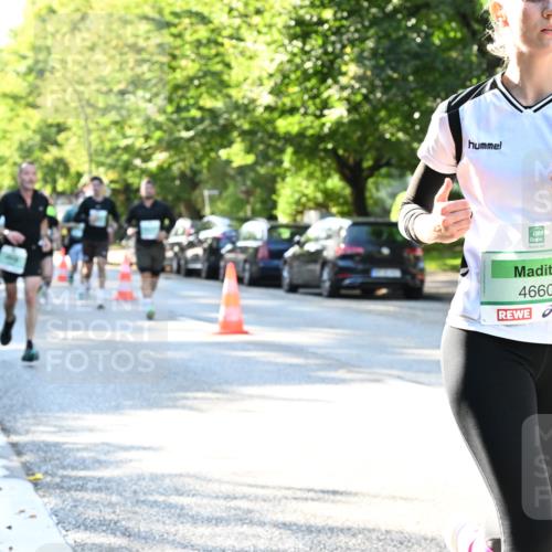 20.09.2026 - PSD Bank Halbmarathon Dr. Thomas Lammeyer http://msf.ph/oto/10495751 20.09.2026 10:42:51 Laufen 4660 meine-sportfotos.de