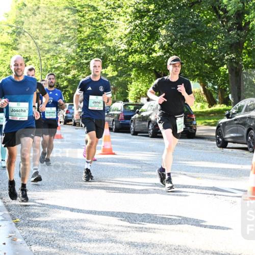 20.09.2026 - PSD Bank Halbmarathon Dr. Thomas Lammeyer http://msf.ph/oto/10495926 20.09.2026 10:43:20 Laufen 3761, 0 meine-sportfotos.de