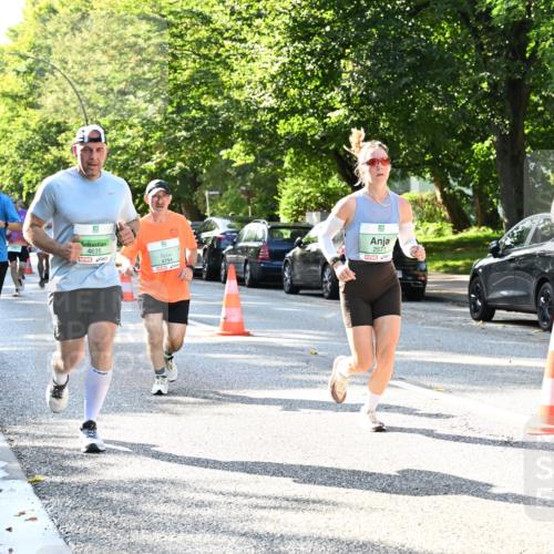 20.09.2026 - PSD Bank Halbmarathon Dr. Thomas Lammeyer http://msf.ph/oto/10496247 20.09.2026 10:44:18 Laufen 4635, 4794, 2571, 4769 meine-sportfotos.de