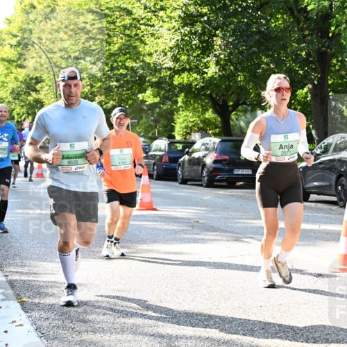 20.09.2026 - PSD Bank Halbmarathon Dr. Thomas Lammeyer http://msf.ph/oto/10496250 20.09.2026 10:44:18 Laufen 4635, 4794, 2571, 4683, 0 meine-sportfotos.de