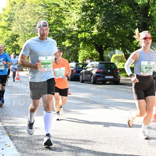 20.09.2026 - PSD Bank Halbmarathon Dr. Thomas Lammeyer http://msf.ph/oto/10496252 20.09.2026 10:44:19 Laufen 283, 1332, 4635, 4794, 2571, 0 meine-sportfotos.de