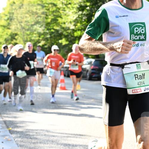 20.09.2026 - PSD Bank Halbmarathon Dr. Thomas Lammeyer http://msf.ph/oto/10496370 20.09.2026 10:44:37 Laufen 0, 4314 meine-sportfotos.de