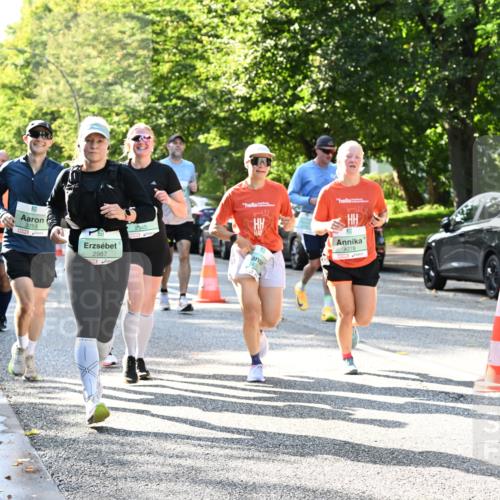 20.09.2026 - PSD Bank Halbmarathon Dr. Thomas Lammeyer http://msf.ph/oto/10496375 20.09.2026 10:44:38 Laufen 4278, 2253, 2987, 2540 meine-sportfotos.de