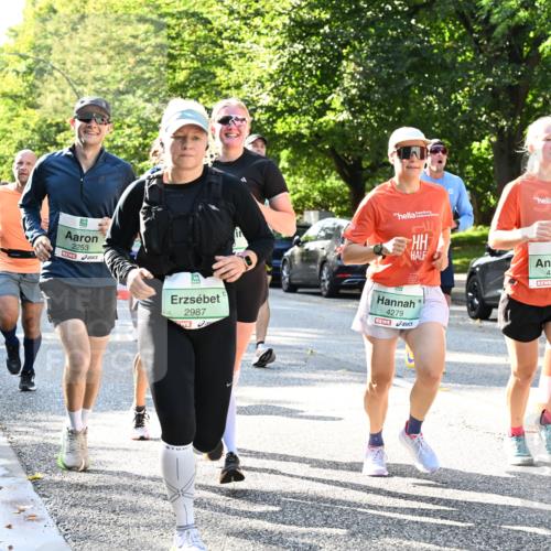 20.09.2026 - PSD Bank Halbmarathon Dr. Thomas Lammeyer http://msf.ph/oto/10496380 20.09.2026 10:44:38 Laufen 2253, 2987, 4279, 4278 meine-sportfotos.de