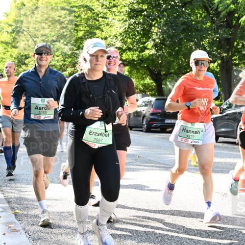 20.09.2026 - PSD Bank Halbmarathon Dr. Thomas Lammeyer http://msf.ph/oto/10496381 20.09.2026 10:44:39 Laufen 5, 2253, 2987, 4279, 4278 meine-sportfotos.de