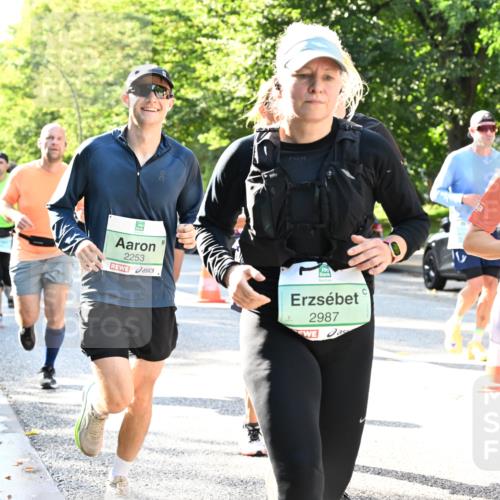 20.09.2026 - PSD Bank Halbmarathon Dr. Thomas Lammeyer http://msf.ph/oto/10496385 20.09.2026 10:44:39 Laufen 2253, 2987, 30, 4279 meine-sportfotos.de
