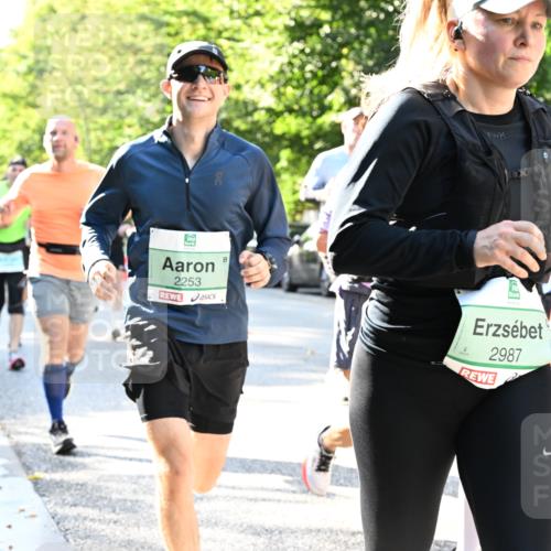 20.09.2026 - PSD Bank Halbmarathon Dr. Thomas Lammeyer http://msf.ph/oto/10496387 20.09.2026 10:44:39 Laufen 2253, 2987 meine-sportfotos.de