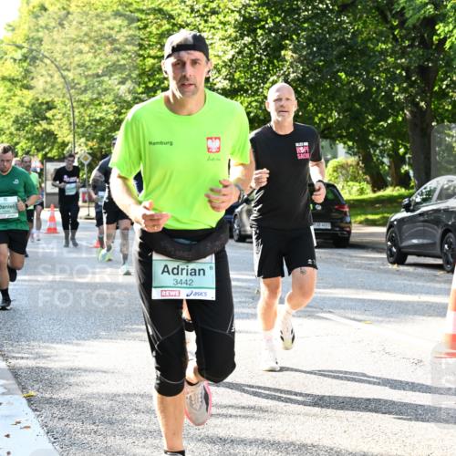 20.09.2026 - PSD Bank Halbmarathon Dr. Thomas Lammeyer http://msf.ph/oto/10496405 20.09.2026 10:44:42 Laufen 9, 3442, 4683, 0 meine-sportfotos.de