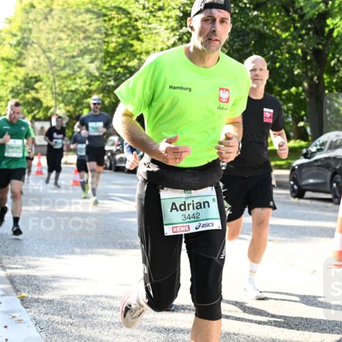 20.09.2026 - PSD Bank Halbmarathon Dr. Thomas Lammeyer http://msf.ph/oto/10496407 20.09.2026 10:44:42 Laufen 3442 meine-sportfotos.de