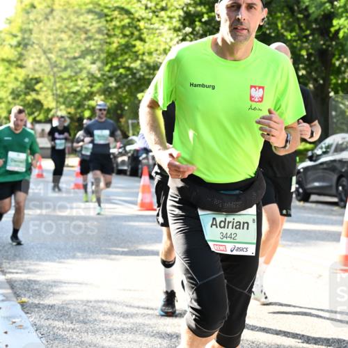 20.09.2026 - PSD Bank Halbmarathon Dr. Thomas Lammeyer http://msf.ph/oto/10496408 20.09.2026 10:44:42 Laufen 3442 meine-sportfotos.de