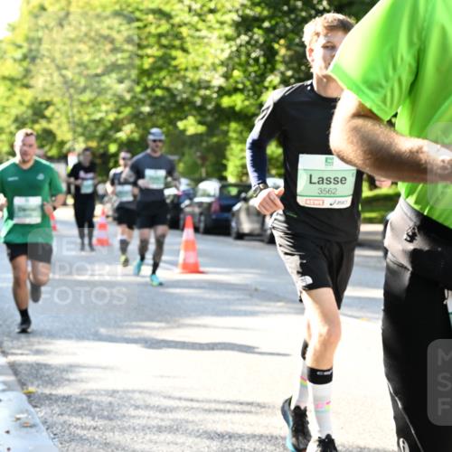 20.09.2026 - PSD Bank Halbmarathon Dr. Thomas Lammeyer http://msf.ph/oto/10496411 20.09.2026 10:44:43 Laufen 3562, 3442 meine-sportfotos.de