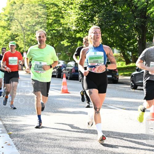 20.09.2026 - PSD Bank Halbmarathon Dr. Thomas Lammeyer http://msf.ph/oto/10496435 20.09.2026 10:44:46 Laufen 3565, 1528, 84883, 09, 0 meine-sportfotos.de