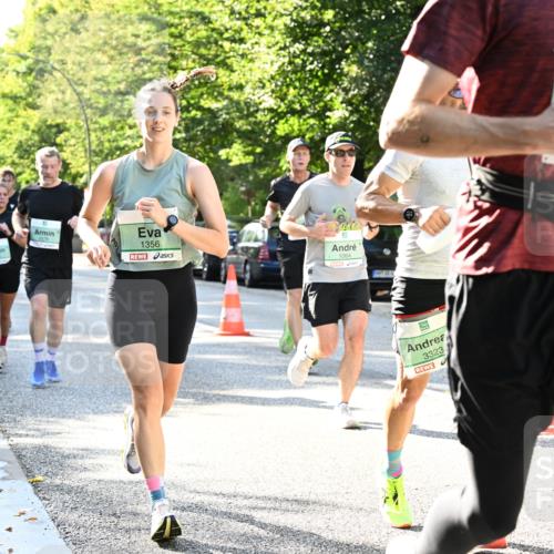 20.09.2026 - PSD Bank Halbmarathon Dr. Thomas Lammeyer http://msf.ph/oto/10496559 20.09.2026 10:45:05 Laufen 117, 1356, 1064, 3323, 566 meine-sportfotos.de