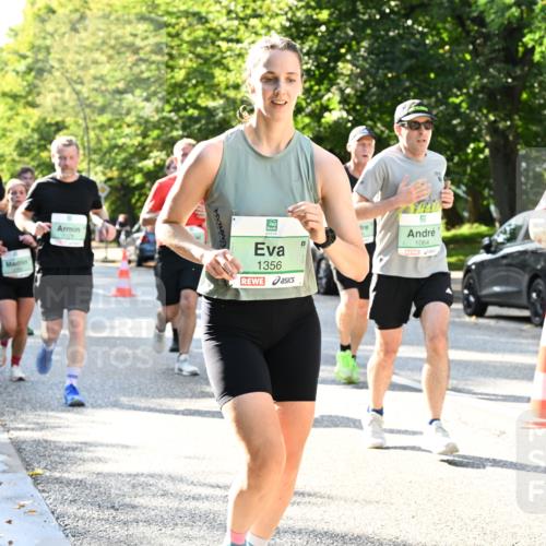 20.09.2026 - PSD Bank Halbmarathon Dr. Thomas Lammeyer http://msf.ph/oto/10496563 20.09.2026 10:45:06 Laufen 1356, 1064, 3323 meine-sportfotos.de