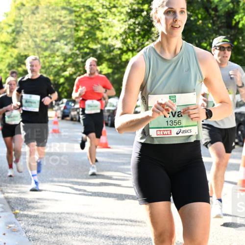 20.09.2026 - PSD Bank Halbmarathon Dr. Thomas Lammeyer http://msf.ph/oto/10496565 20.09.2026 10:45:06 Laufen 1356 meine-sportfotos.de