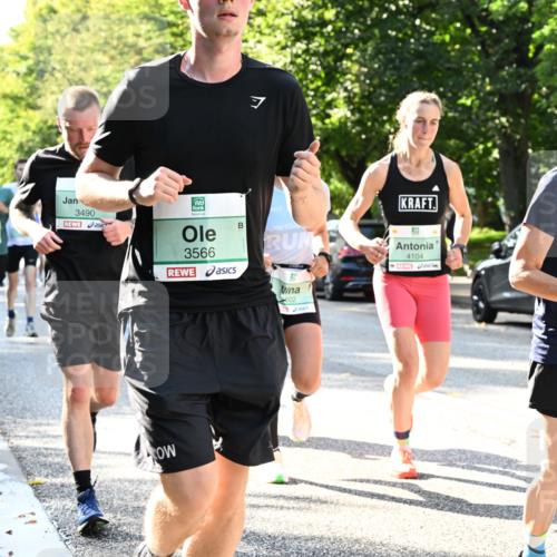 20.09.2026 - PSD Bank Halbmarathon Dr. Thomas Lammeyer http://msf.ph/oto/10496614 20.09.2026 10:45:14 Laufen 3490, 3566, 4104, 602 meine-sportfotos.de