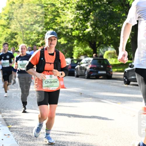 20.09.2026 - PSD Bank Halbmarathon Dr. Thomas Lammeyer http://msf.ph/oto/10496647 20.09.2026 10:45:18 Laufen 1530, 4156 meine-sportfotos.de