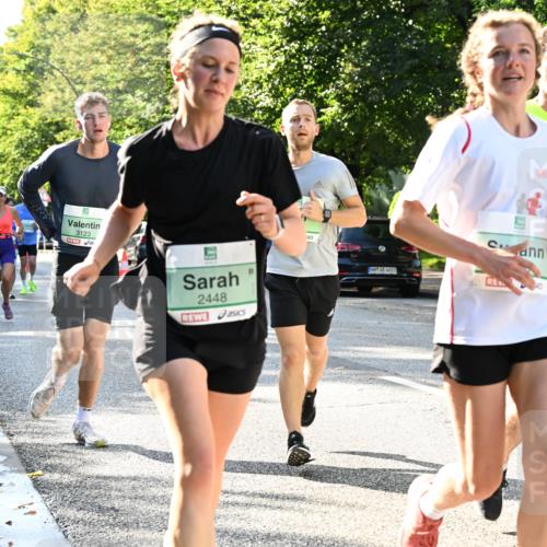 20.09.2026 - PSD Bank Halbmarathon Dr. Thomas Lammeyer http://msf.ph/oto/10496684 20.09.2026 10:45:24 Laufen 3123, 2448, 4683 meine-sportfotos.de