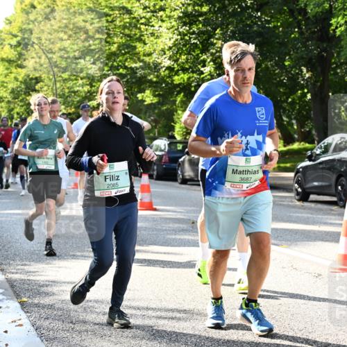 20.09.2026 - PSD Bank Halbmarathon Dr. Thomas Lammeyer http://msf.ph/oto/10496727 20.09.2026 10:45:31 Laufen 1482, 2085, 2, 15, 3687, 0 meine-sportfotos.de