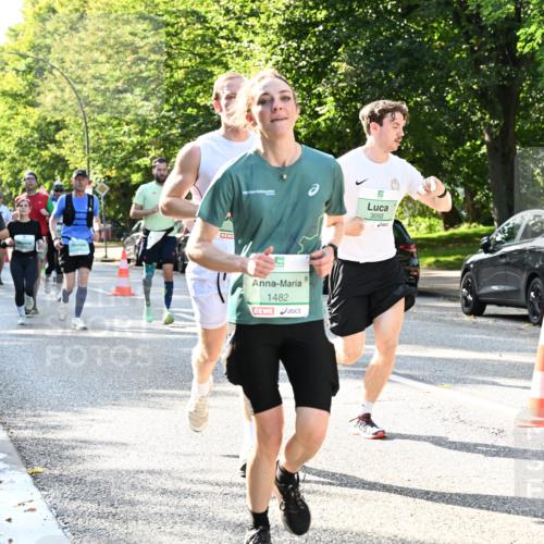 20.09.2026 - PSD Bank Halbmarathon Dr. Thomas Lammeyer http://msf.ph/oto/10496740 20.09.2026 10:45:32 Laufen 1482, 3050, 0 meine-sportfotos.de