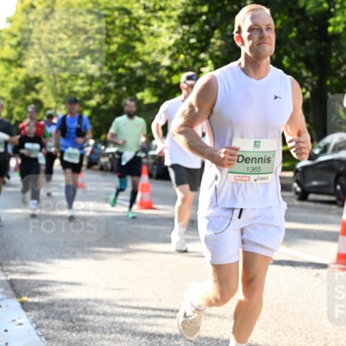 20.09.2026 - PSD Bank Halbmarathon Dr. Thomas Lammeyer http://msf.ph/oto/10496747 20.09.2026 10:45:33 Laufen 1365 meine-sportfotos.de