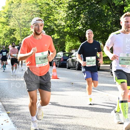 20.09.2026 - PSD Bank Halbmarathon Dr. Thomas Lammeyer http://msf.ph/oto/10496843 20.09.2026 10:45:47 Laufen 4231, 2528, 1526, 0 meine-sportfotos.de
