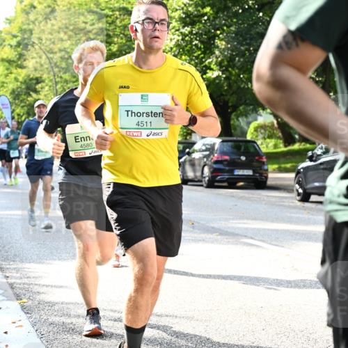 20.09.2026 - PSD Bank Halbmarathon Dr. Thomas Lammeyer http://msf.ph/oto/10497057 20.09.2026 10:46:21 Laufen 4580, 4511 meine-sportfotos.de