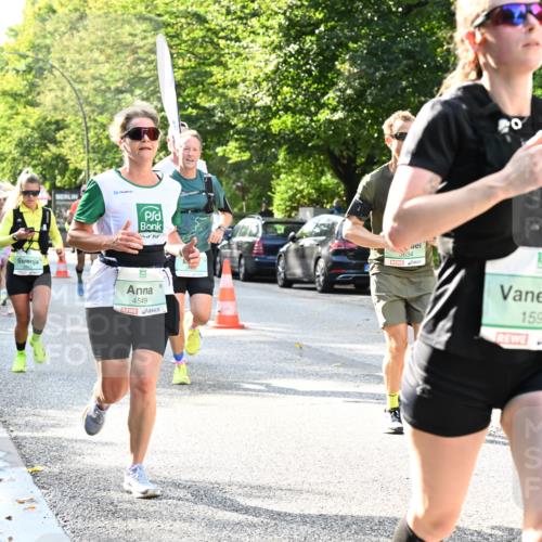 20.09.2026 - PSD Bank Halbmarathon Dr. Thomas Lammeyer http://msf.ph/oto/10497093 20.09.2026 10:46:27 Laufen 4549, 634, 1592 meine-sportfotos.de