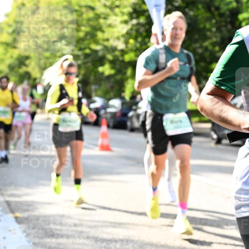 20.09.2026 - PSD Bank Halbmarathon Dr. Thomas Lammeyer http://msf.ph/oto/10497103 20.09.2026 10:46:29 Laufen 45 meine-sportfotos.de